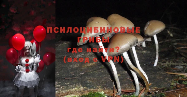 первитин Дмитров