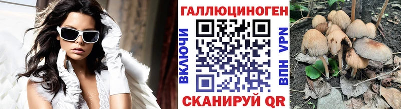 Купить где  Калининец  Псилоцибиновые грибы прущие грибы 