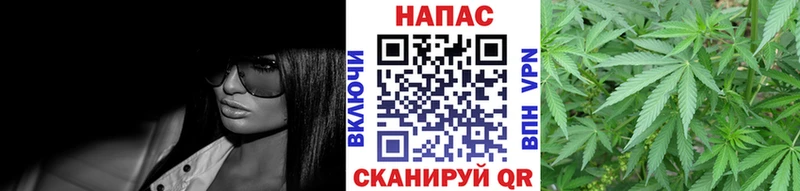 Купить где  Калининец  Бошки марихуана Amnesia 